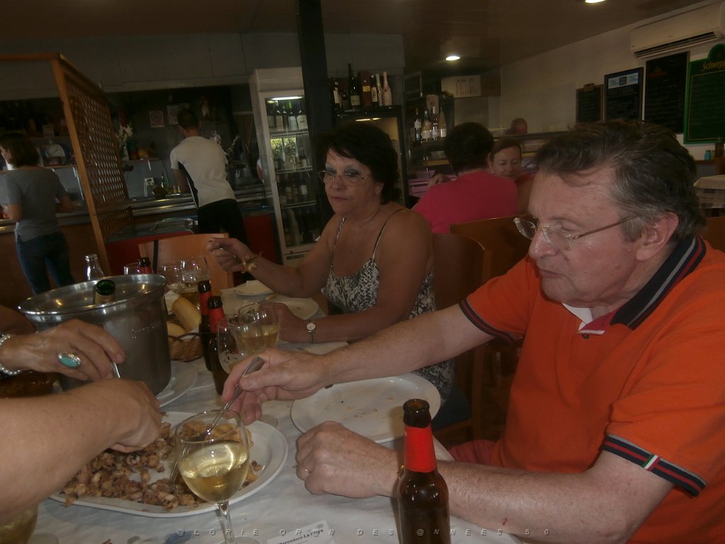 2015 06 06 et 07  APNA A DALIAS ALMERIA  (265).JPG